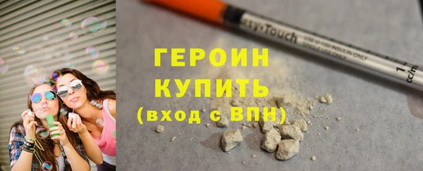 гидра Инта