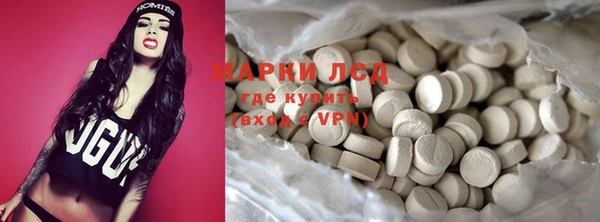 гидра Инта