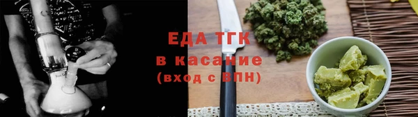 гидра Инта