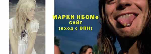 гидра Инта
