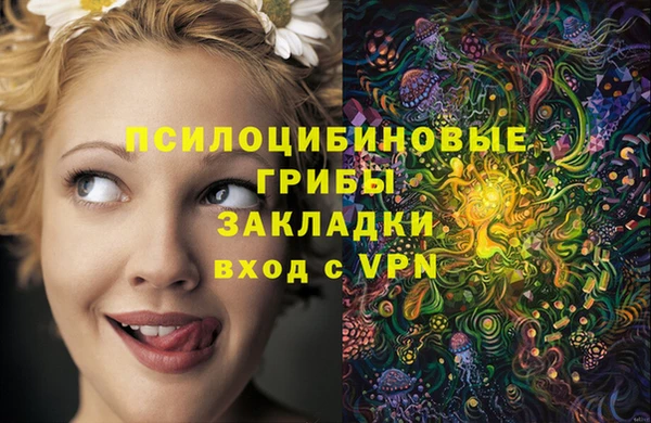 гидра Инта