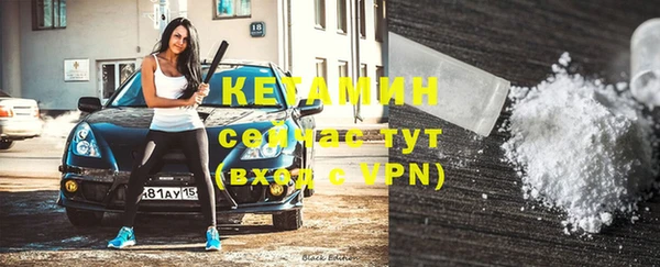 гидра Инта