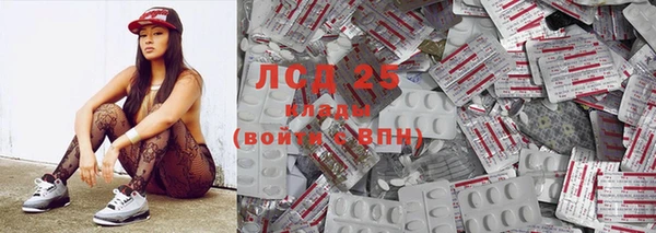 гидра Инта
