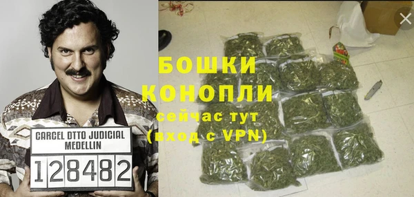 гидра Инта