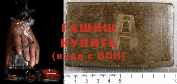 гидра Инта