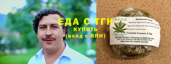 гидра Инта
