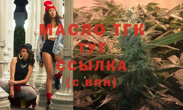 гидра Инта