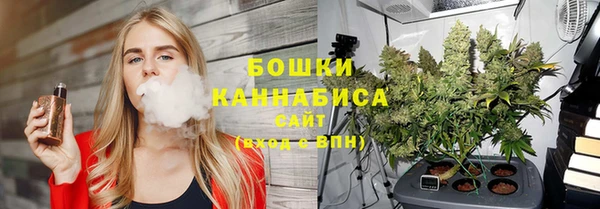 молекула духа Иннополис