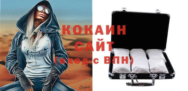 гидра Инта