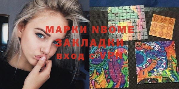 гидра Инта